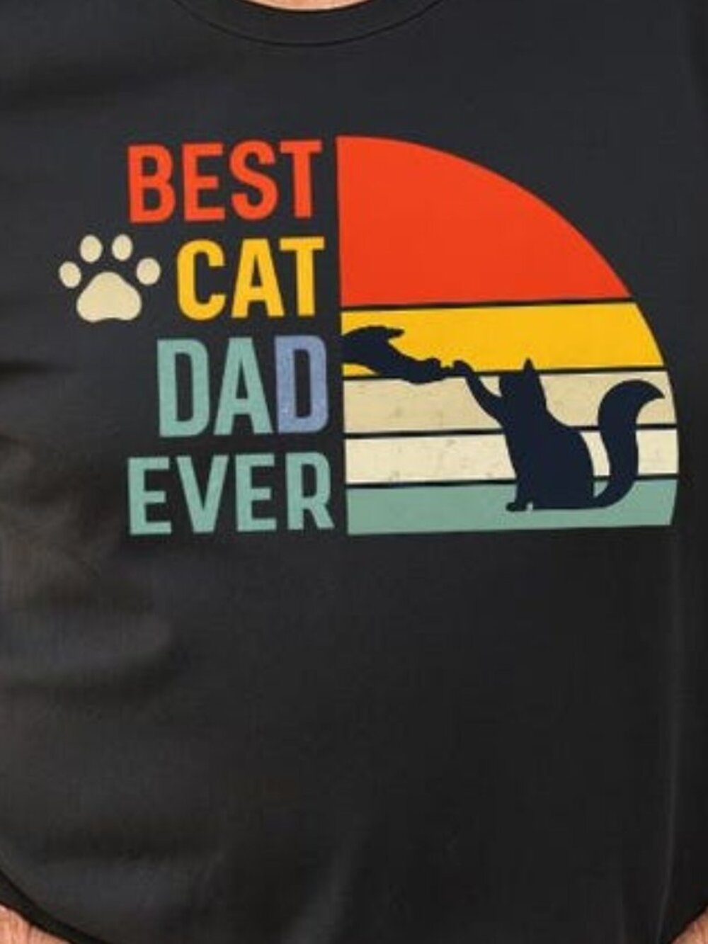 Best Cat Dad Shirt, Gift For Cat Dad Papa, Father's Day Cat Owner Shirt - Picture 2 of 3